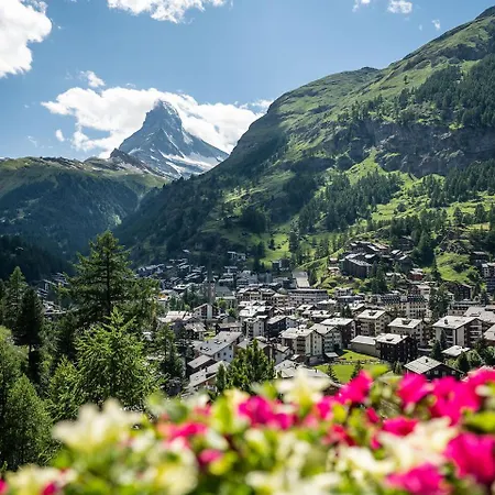 Charming Alpin Violett Zermatt