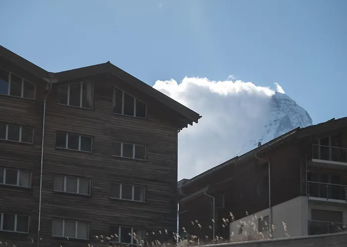 Charming Alpin Violett